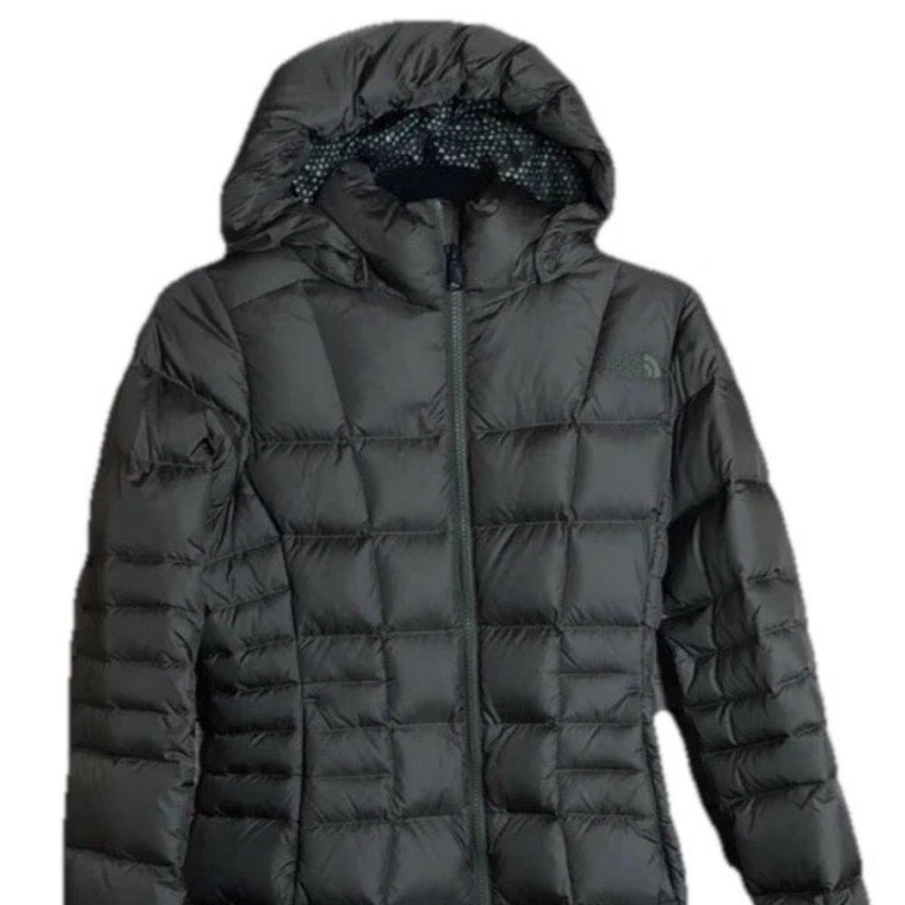 NWT The North Face Metropolis Parka III XS New Taupe Green Nordstrom 550 Down